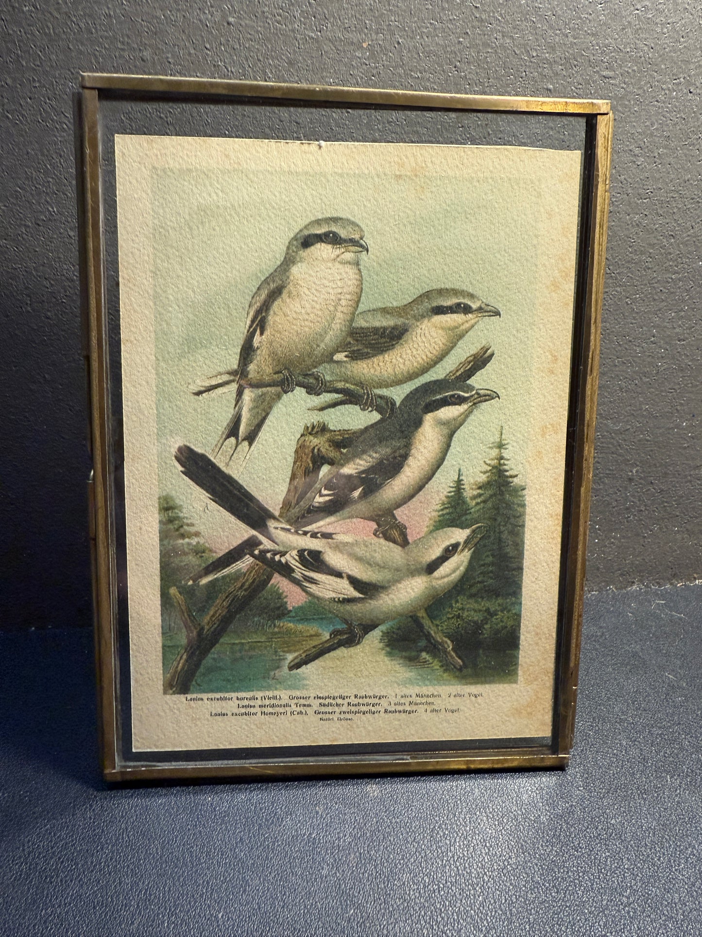 Frame 5x7 Brass