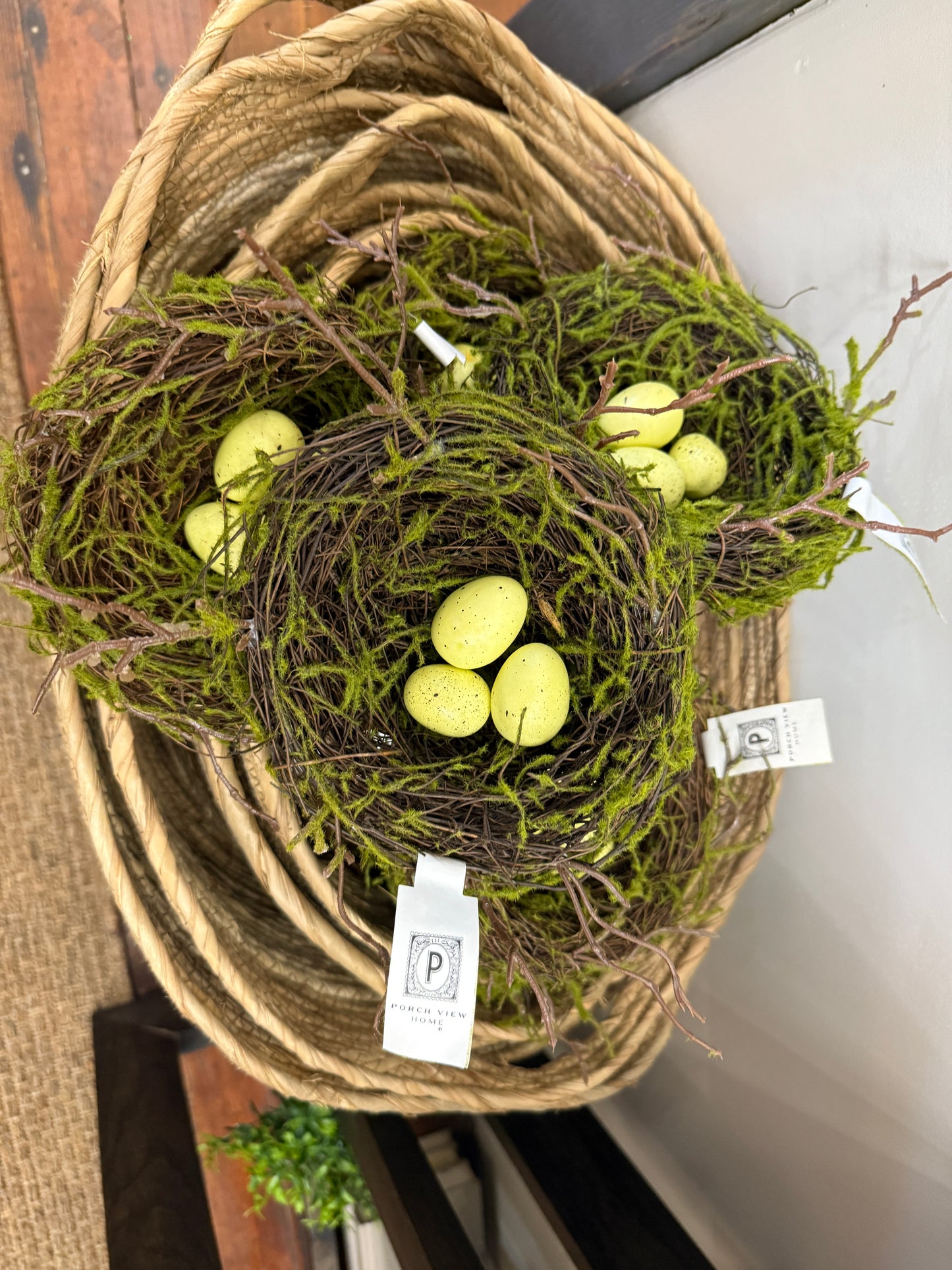 Nest w/ eggs