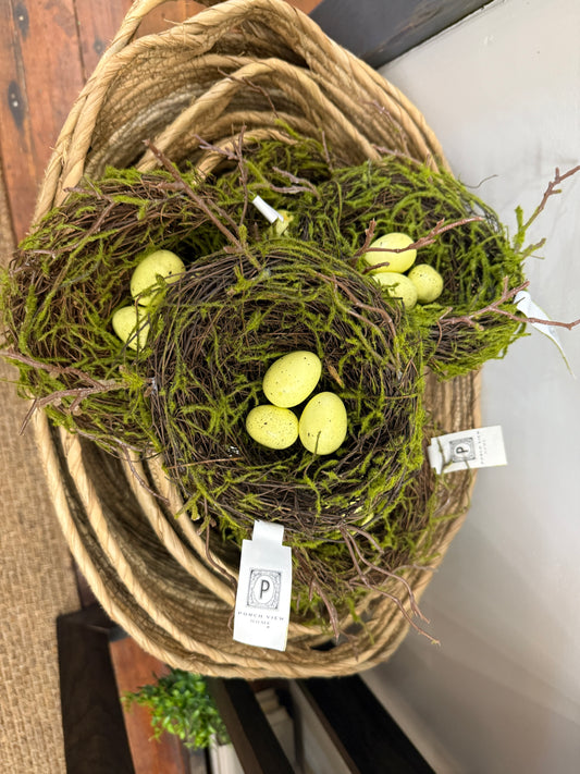 Nest w/ eggs