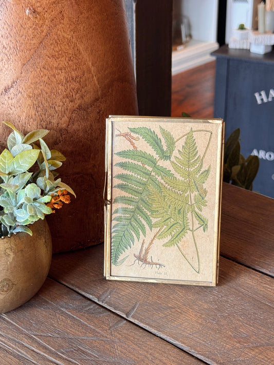 Frame 4x6 Brass